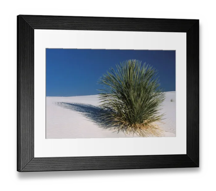 Framed Print : 07. North America, America, New Mexico, White Sands Framed Print : 07. North America, America, New Mexico, White Sands