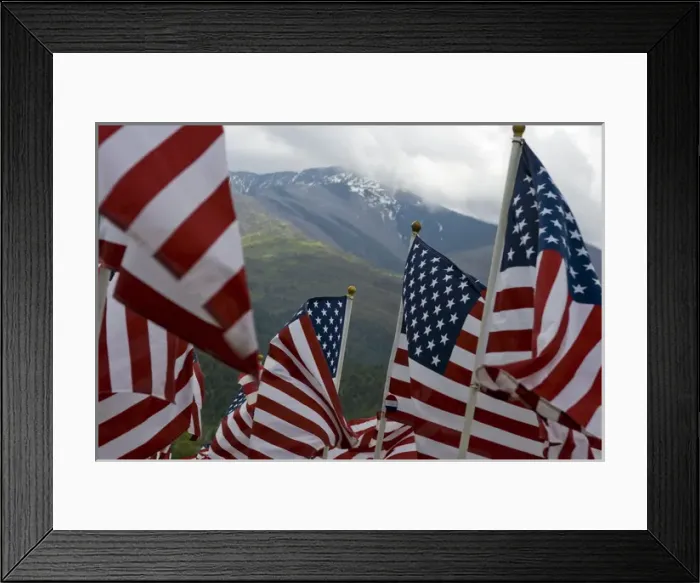 Framed Print : USA, North America, New Mexico, Questa, Flag Memorial Honoring Americas Veterans Framed Print : USA, North America, New Mexico, Questa, Flag Memorial Honoring Americas Veterans