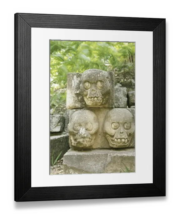 Framed Print : Central America, Honduras. Mayan ruins of Copan Framed Print : Central America, Honduras. Mayan ruins of Copan