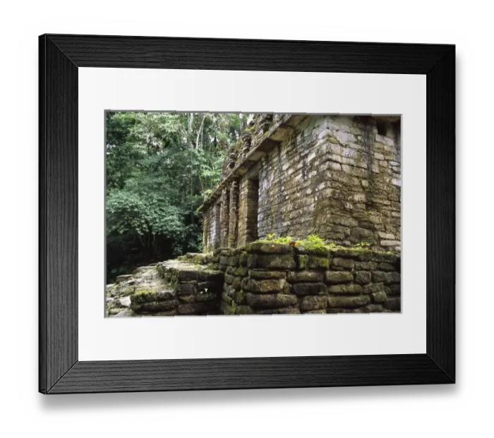 Framed Print : 06. Mexico, Chiapas, Ocosingo, Yaxchilan Mayan Ruins Framed Print : 06. Mexico, Chiapas, Ocosingo, Yaxchilan Mayan Ruins