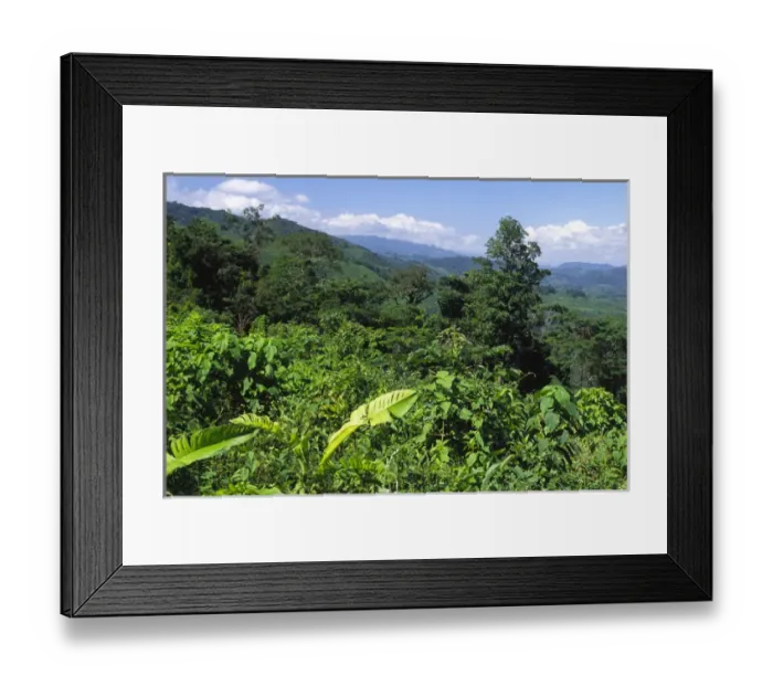 Framed Print : 06. Mexico, Chiapas, Palenque. Mixed landscape of deforested farm sections and jungle