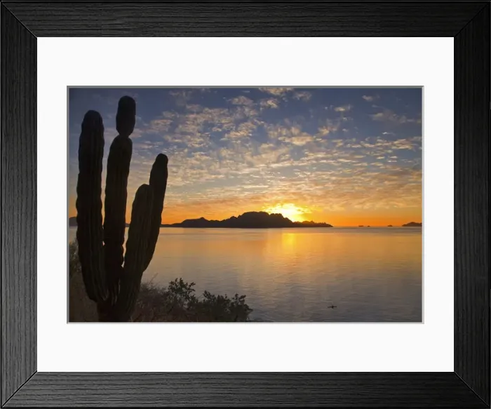 Framed Print : Sea kayaker on the Gulf of California at sunrise near Loreto Mexico Framed Print : Sea kayaker on the Gulf of California at sunrise near Loreto Mexico