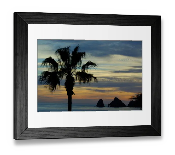 Framed Print : North America, Mexico, Baja California Sur, Cabo San Lucas. Baja sunset palm with