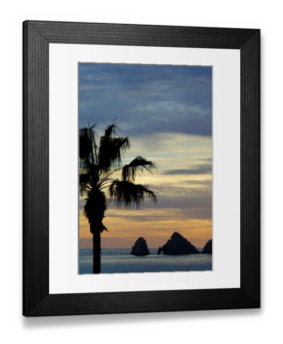 Framed Print : North America, Mexico, Baja California Sur, Cabo San Lucas. Baja sunset palm with Framed Print : North America, Mexico, Baja California Sur, Cabo San Lucas. Baja sunset palm with