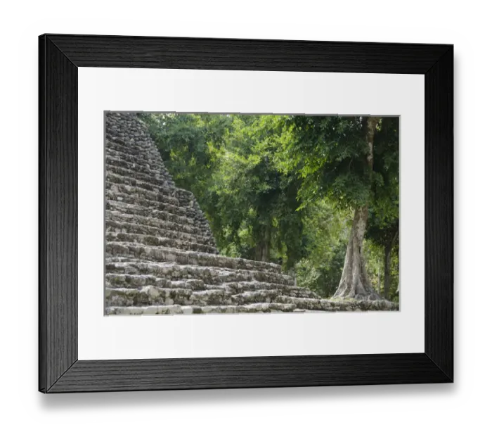 Framed Print : Mexico, Quintana Roo, Yucatan Peninsula near Costa Maya. Kohunlich Mayan Ruins Framed Print : Mexico, Quintana Roo, Yucatan Peninsula near Costa Maya. Kohunlich Mayan Ruins