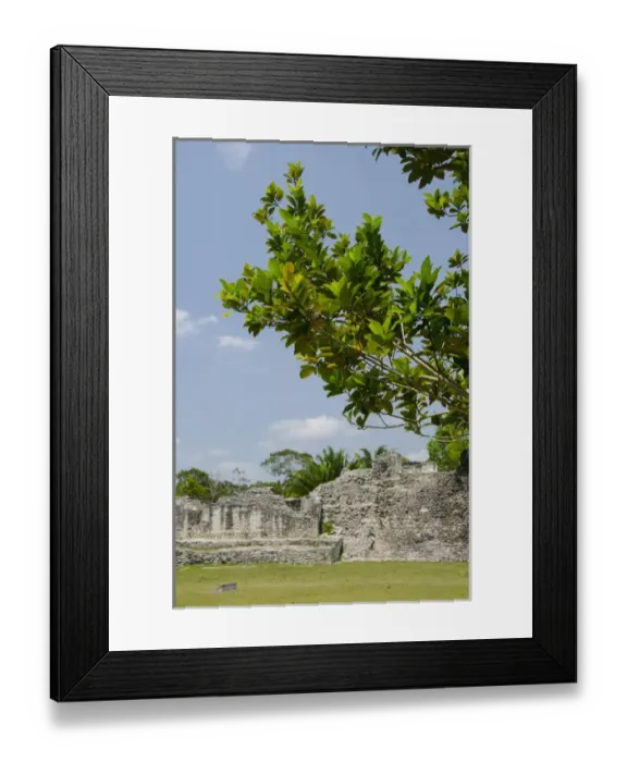 Framed Print : Mexico, Quintana Roo, Yucatan Peninsula near Costa Maya. Kohunlich Mayan Ruins Framed Print : Mexico, Quintana Roo, Yucatan Peninsula near Costa Maya. Kohunlich Mayan Ruins