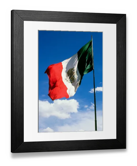 Framed Print : SA, Mexico. The national flag of Mexico Framed Print : SA, Mexico. The national flag of Mexico