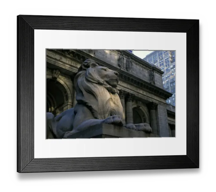 Framed Print : North America, USA, New York, New York City. Stone Lion in front of the Public Library