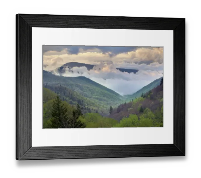 Framed Print : Clouds in Oconaluftee Valley at sunrise, Great Smoky Mountains National Park, North Framed Print : Clouds in Oconaluftee Valley at sunrise, Great Smoky Mountains National Park, North