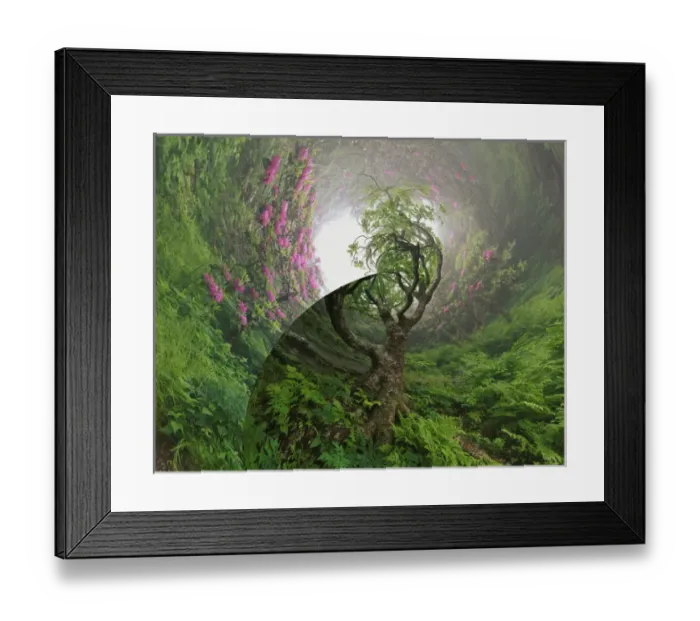 Framed Print : Fantasy version of Path through Catawba Rhododendron, Craggy Gardens, North Carolina Framed Print : Fantasy version of Path through Catawba Rhododendron, Craggy Gardens, North Carolina