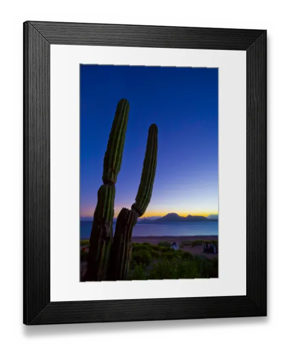 Framed Print : Mexico, Baja, Sea of Cortez. Jupiter and Venus and Cardon Cactus at sunset, Isla Framed Print : Mexico, Baja, Sea of Cortez. Jupiter and Venus and Cardon Cactus at sunset, Isla
