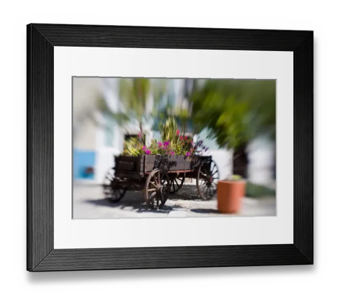 Framed Print : North America, Mexico, Guanajuato. Old cart filled with flowers in Plazuela San Fernando