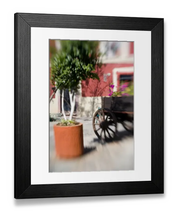 Framed Print : North America, Mexico, Guanajuato. Old cart filled with flowers and potted plant Framed Print : North America, Mexico, Guanajuato. Old cart filled with flowers and potted plant