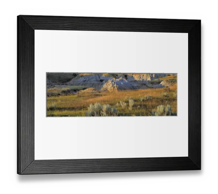 Framed Print : USA, North Dakota, Roosevelt NP. Sagebrush springs from the arid soil in the south Framed Print : USA, North Dakota, Roosevelt NP. Sagebrush springs from the arid soil in the south