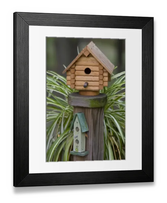 Framed Print : Backyard birdhouse Framed Print : Backyard birdhouse