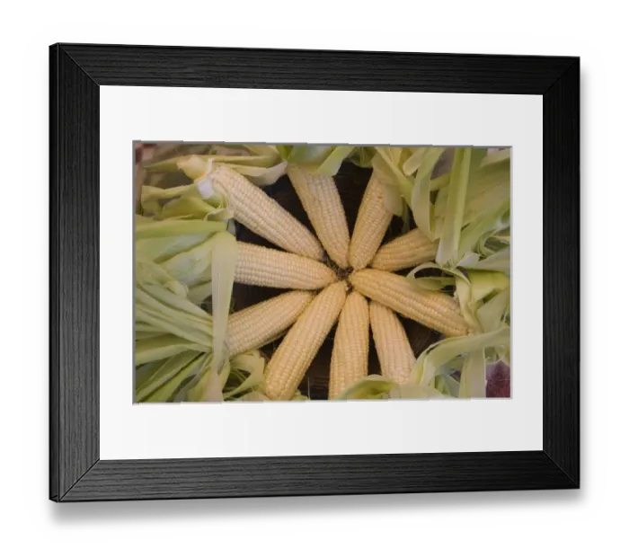 Framed Print : Choctaw Indians of Louisianna, Mississippi and Alabama grew sweetcorn as a food staple Framed Print : Choctaw Indians of Louisianna, Mississippi and Alabama grew sweetcorn as a food staple