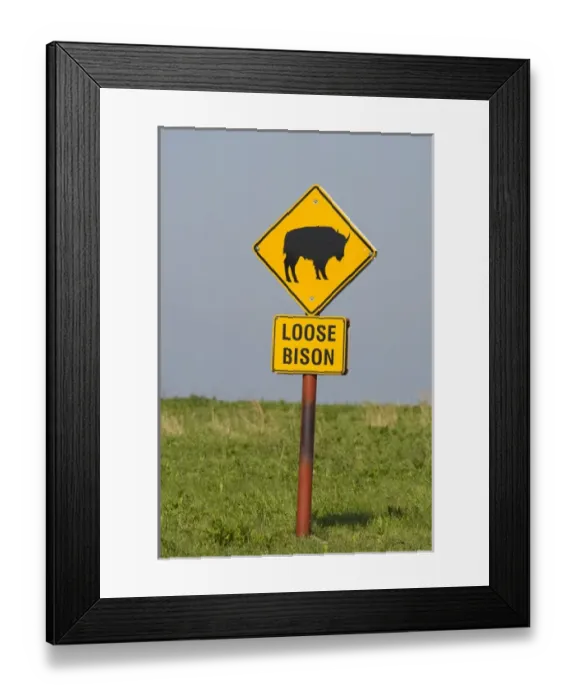 Framed Print : Bison signage at the Tallgrass Prairie Preserve near Pawhuska Oklahoma Framed Print : Bison signage at the Tallgrass Prairie Preserve near Pawhuska Oklahoma