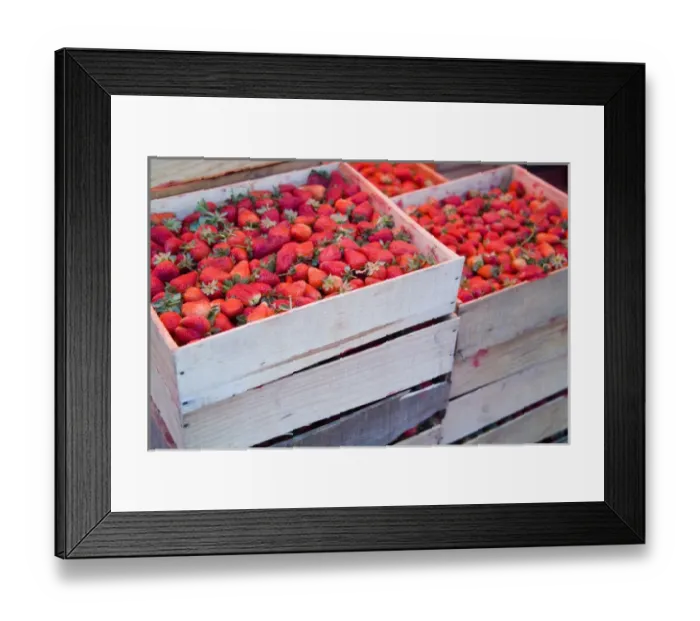 Framed Print : North America, Mexico, Guanajuato state, San Miguel de Allende. Strawberries
