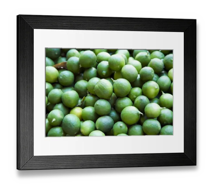 Framed Print : North America, Mexico, Guanajuato state, San Miguel de Allende. Limes on display