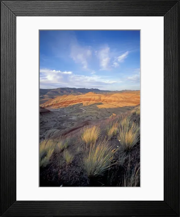 Framed Print : NA, USA, Central Oregon, John Day Fossil Beds NM, Painted Hills Unit Framed Print : NA, USA, Central Oregon, John Day Fossil Beds NM, Painted Hills Unit