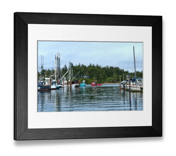 Framed Print : Harbor in Charlestown, Oregon on Oregon coast with boats in pier