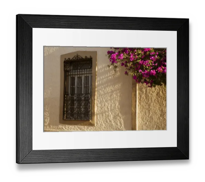 Framed Print : North America, Mexico, Yucatan, Merida. Bougainvillea blooming on the exterior wall of Framed Print : North America, Mexico, Yucatan, Merida. Bougainvillea blooming on the exterior wall of