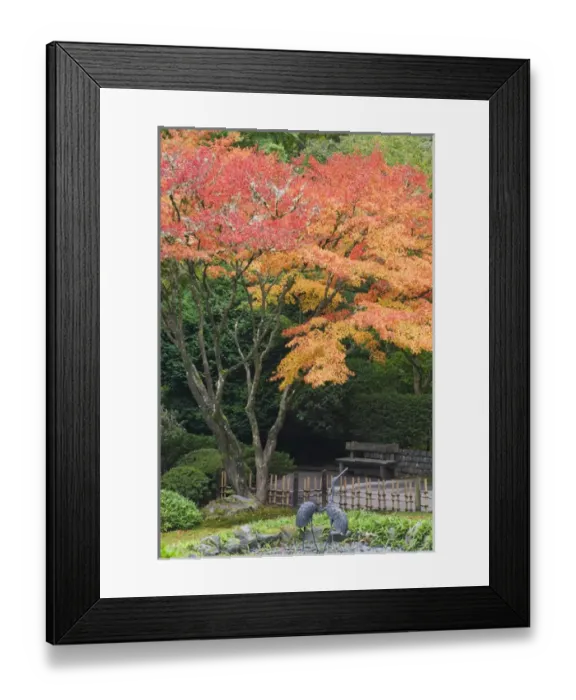 Framed Print : USA, Oregon, Portland. Credit as: Don Paulson / Jaynes Gallery / DanitaDelimont(RF) Framed Print : USA, Oregon, Portland. Credit as: Don Paulson / Jaynes Gallery / DanitaDelimont(RF)