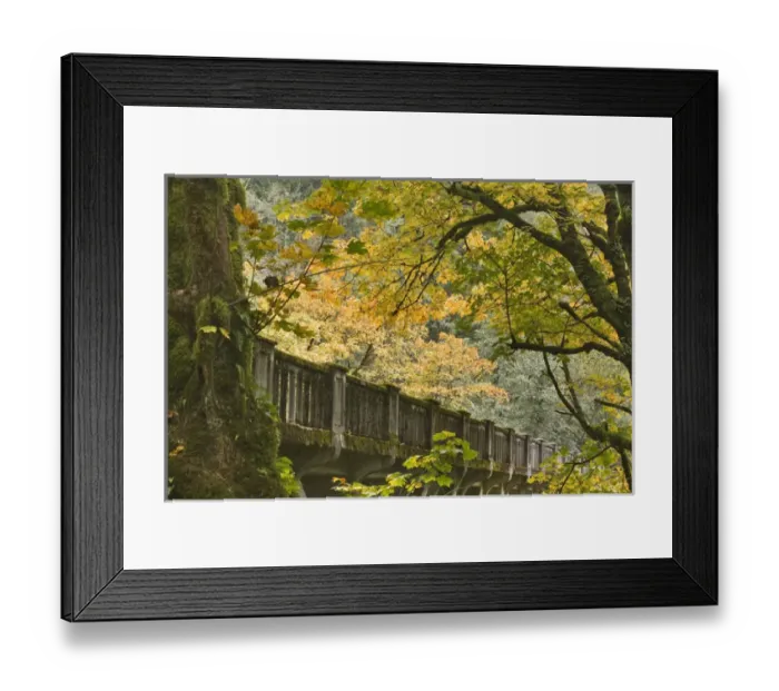 Framed Print : USA, Oregon, Columbia River Gorge. View of historic Columbia River Highway. Credit as Framed Print : USA, Oregon, Columbia River Gorge. View of historic Columbia River Highway. Credit as