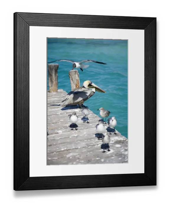 Framed Print : N. A. Mexico, Quintana Roo, Isla Mujeres. Isla Mujeres is the name of a small island Framed Print : N. A. Mexico, Quintana Roo, Isla Mujeres. Isla Mujeres is the name of a small island