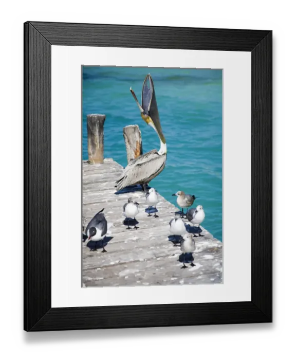 Framed Print : N. A. Mexico, Quintana Roo, Isla Mujeres. Isla Mujeres is the name of a small island Framed Print : N. A. Mexico, Quintana Roo, Isla Mujeres. Isla Mujeres is the name of a small island