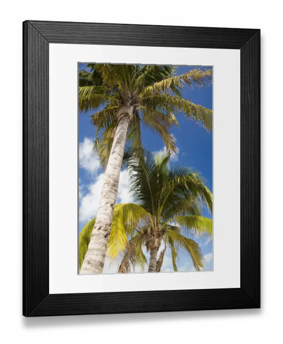 Framed Print : N. A. Mexico, Quintana Roo, Isla Mujeres. Isla Mujeres is the name of a small island Framed Print : N. A. Mexico, Quintana Roo, Isla Mujeres. Isla Mujeres is the name of a small island
