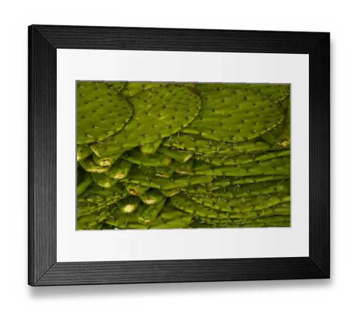 Framed Print : San Miguel de Allende, Mexico. Cactus (nopales) an edible Mexican dish once sticker