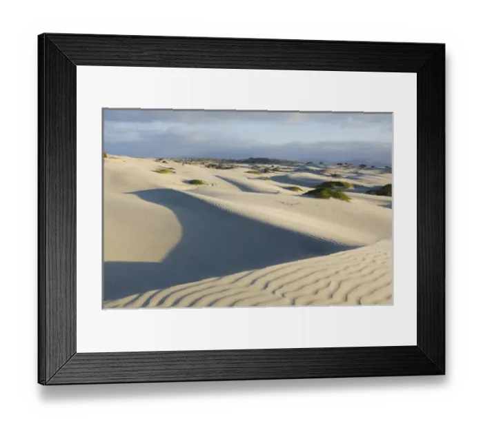 Framed Print : Mexico, Baja California, Isla Magdalena, Magdalena Bay, Sand Dunes