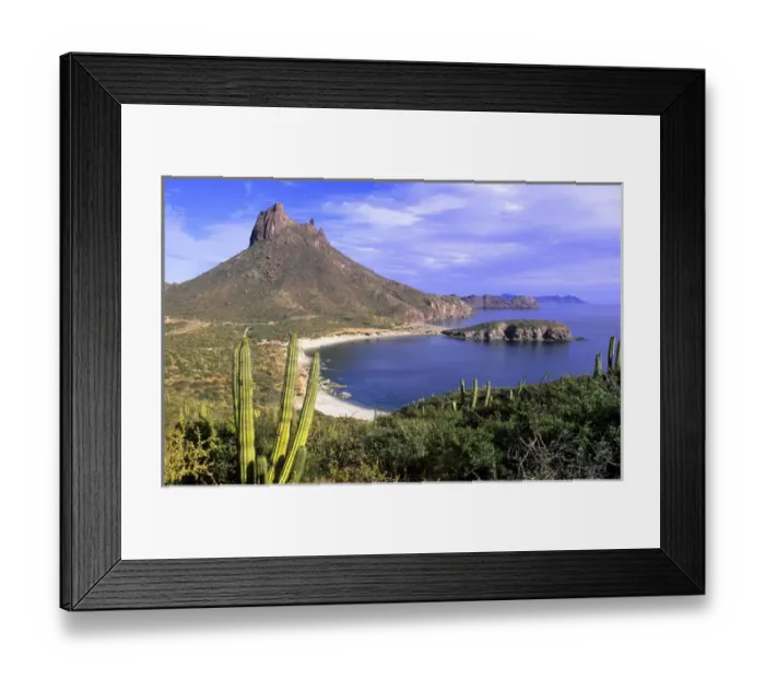 Framed Print : San Carlos, Mexico Framed Print : San Carlos, Mexico