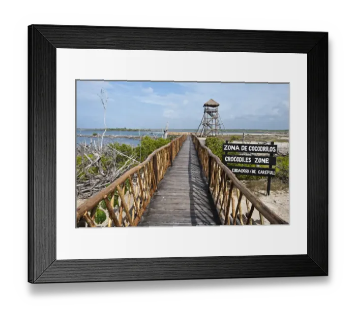 Framed Print : Mexico, Cozumel. Crocodile lagoon in Punta Sur Park, Isla de Cozumel (Cozumel Island) Framed Print : Mexico, Cozumel. Crocodile lagoon in Punta Sur Park, Isla de Cozumel (Cozumel Island)