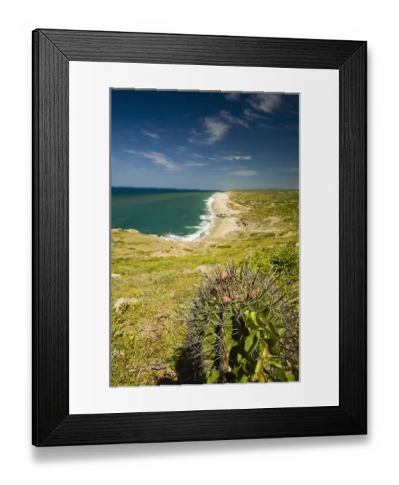 Framed Print : Rancho Carisivu. Migrino area, west side of peninsula. Cabo San Lucas, Mexico Framed Print : Rancho Carisivu. Migrino area, west side of peninsula. Cabo San Lucas, Mexico