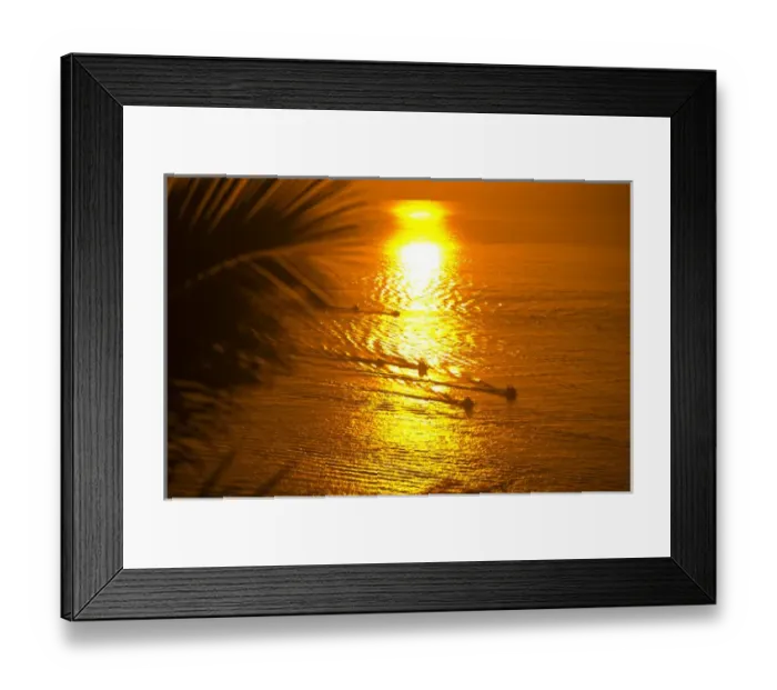 Framed Print : Aerial view of fishing boats at sunrise from Pedregal Hill, Cabo San Lucas, Baja California