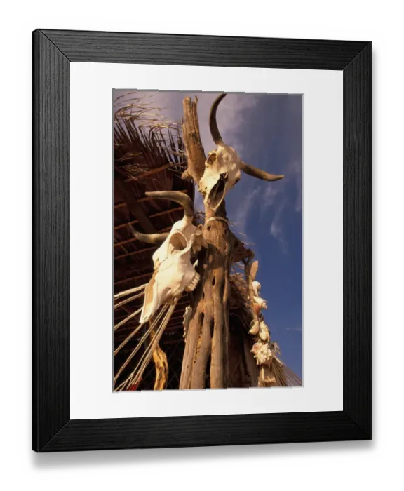 Framed Print : 06. Mexico, Baja. Todos Santos. Old Cattle Skulls Framed Print : 06. Mexico, Baja. Todos Santos. Old Cattle Skulls