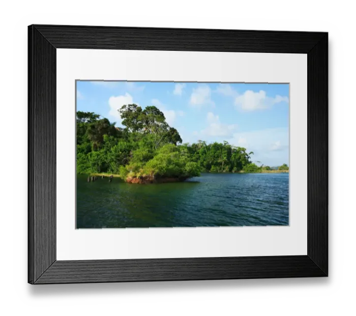 Framed Print : Panama, Panama Canal, tropical forest along the edges of the Panama Canal Framed Print : Panama, Panama Canal, tropical forest along the edges of the Panama Canal