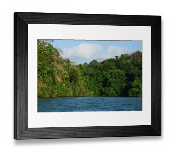 Framed Print : Panama, Panama Canal, tropical forest along the edges of the Panama Canal Framed Print : Panama, Panama Canal, tropical forest along the edges of the Panama Canal