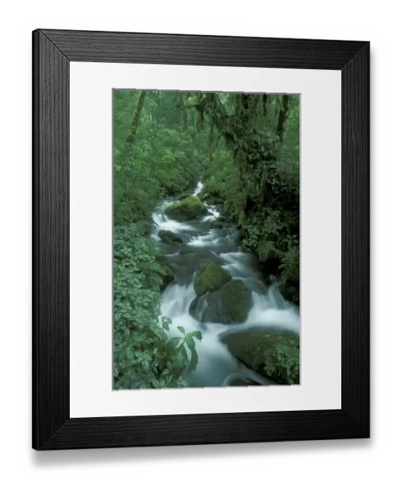 Framed Print : Central America, Panama, Chiriqui Province, Parque National de Amistad, Vulcano Baru Framed Print : Central America, Panama, Chiriqui Province, Parque National de Amistad, Vulcano Baru