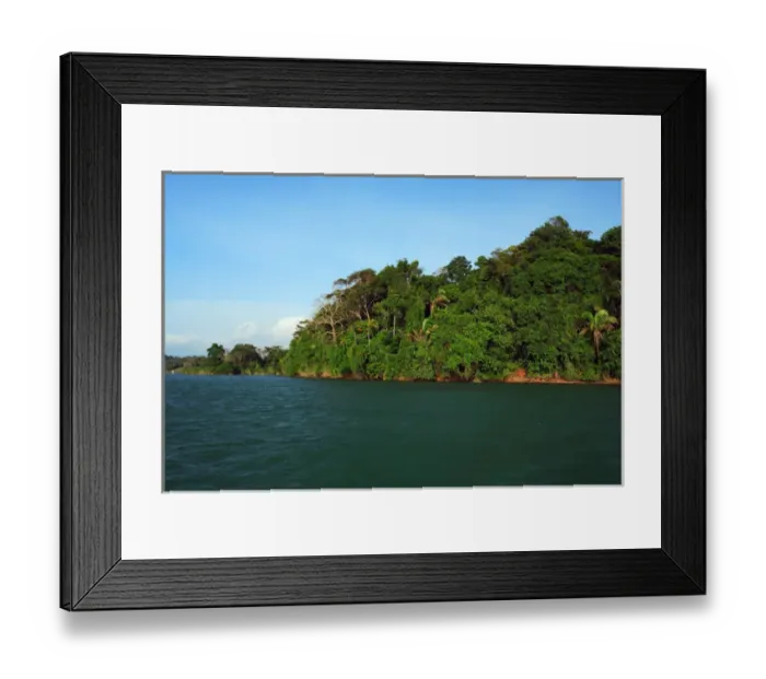 Framed Print : Panama, Panama Canal, tropical forest along the edges of the Panama Canal