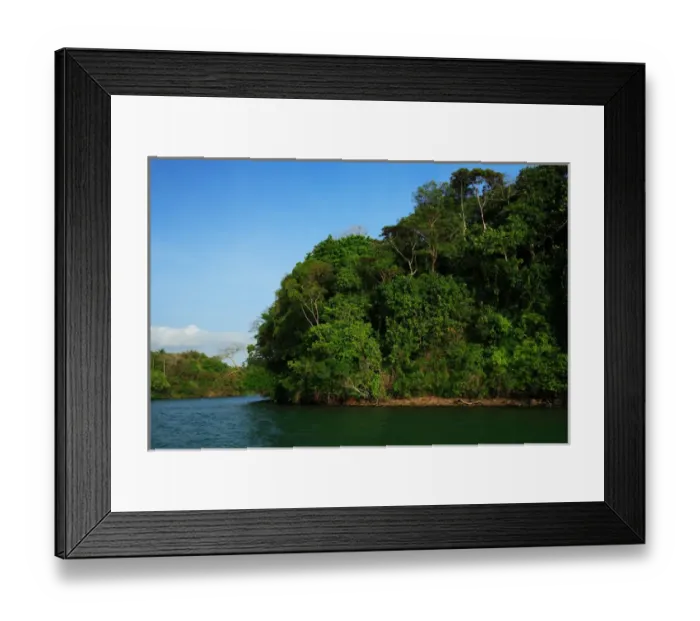 Framed Print : Panama, Panama Canal, tropical forest along the edges of the Panama Canal Framed Print : Panama, Panama Canal, tropical forest along the edges of the Panama Canal