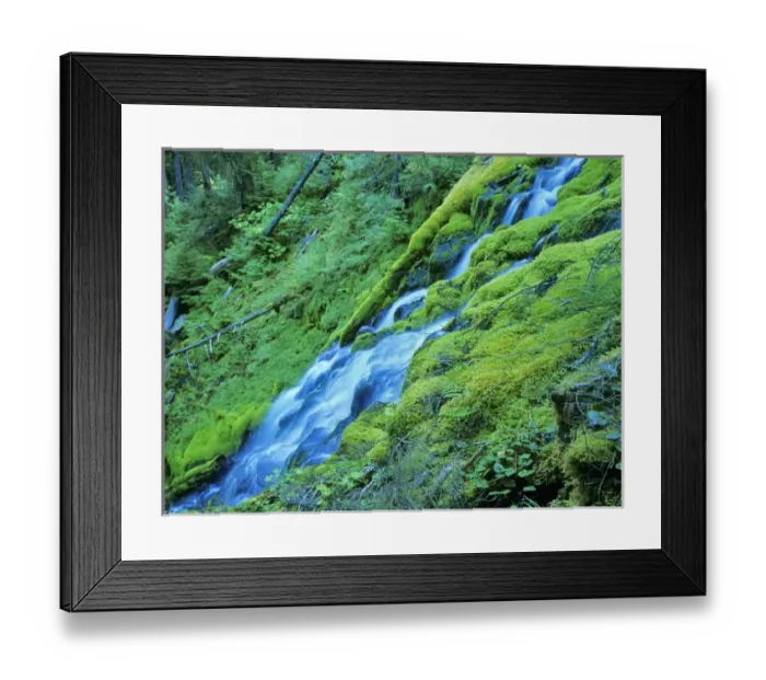 Framed Print : Upper Proxy Falls in the Three Sisters Wilderness of Oregon Framed Print : Upper Proxy Falls in the Three Sisters Wilderness of Oregon