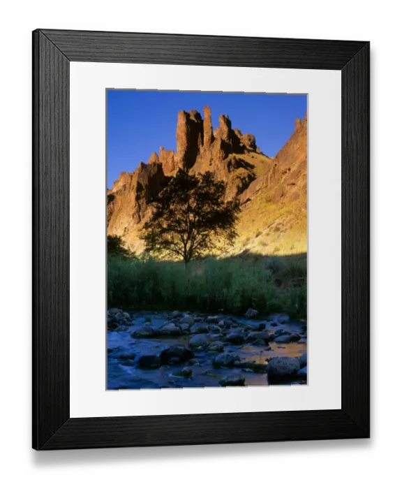 Framed Print : USA, Eastern Oregon, Owyhee area, Cliffs above a small stream in Leslie Gulch Framed Print : USA, Eastern Oregon, Owyhee area, Cliffs above a small stream in Leslie Gulch