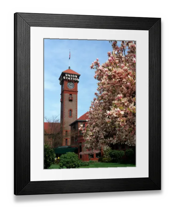 Framed Print : USA, Oregon, Portland, Flowering tree outside the historic Union Station Framed Print : USA, Oregon, Portland, Flowering tree outside the historic Union Station
