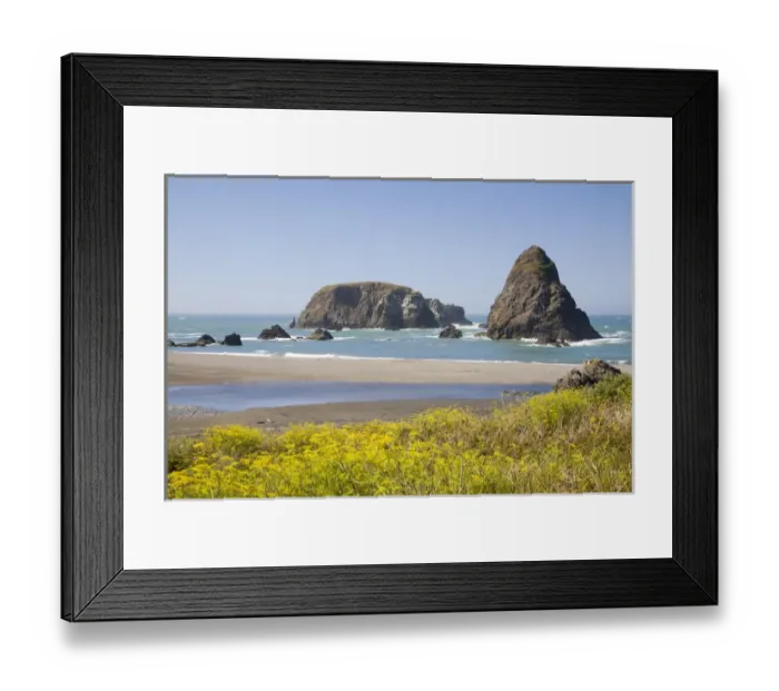 Framed Print : OR, Oregon Coast, Whaleshead Beach, South Coast, Seastacks Framed Print : OR, Oregon Coast, Whaleshead Beach, South Coast, Seastacks