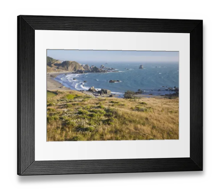 Framed Print : OR, Oregon Coast, Lone Ranch Beach, view from the Oregon Coast Trail