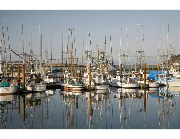 OR, Oregon Coast, Newport, Commercial fishing fleet at the Port of Newport, Yaquina