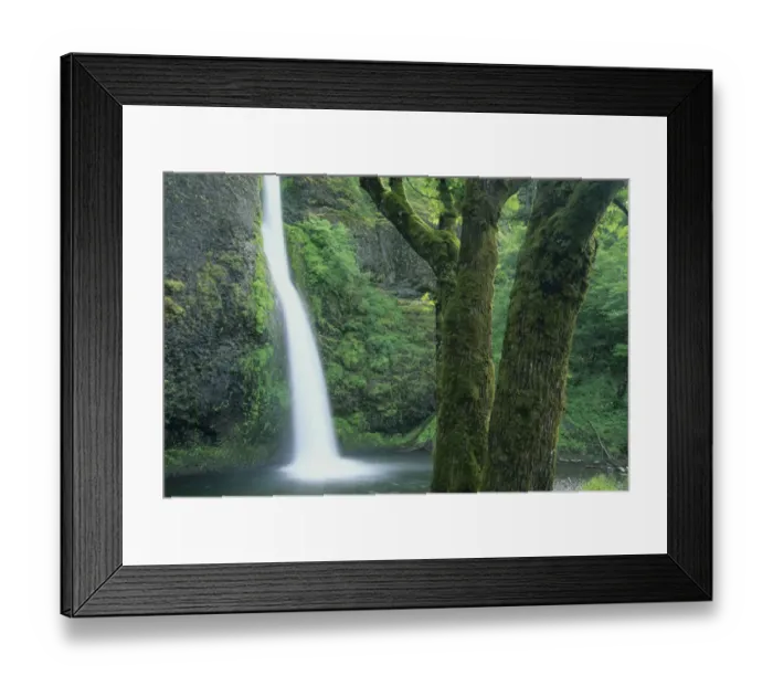 Framed Print : USA, Oregon, Columbia River Gorge, Horsetail Falls Framed Print : USA, Oregon, Columbia River Gorge, Horsetail Falls